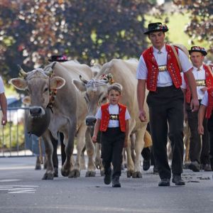 Appenzell mit Alpabzug.jpg